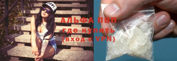 прущие грибы Бородино