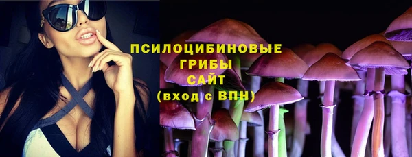 прущие грибы Бородино