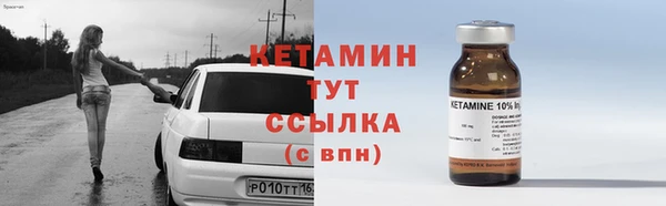 прущие грибы Бородино