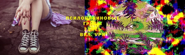 сатива Бугульма