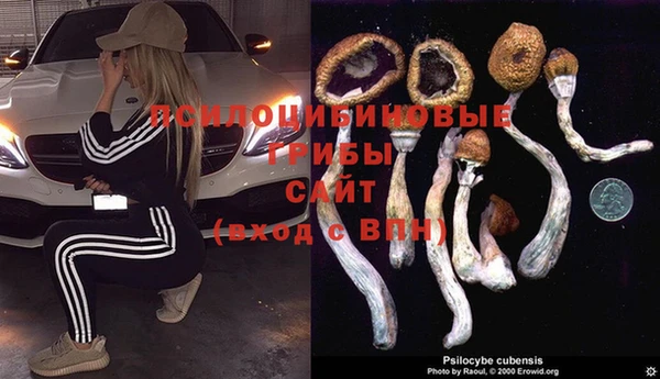 прущие крисы Володарск