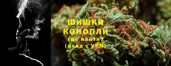 прущие грибы Бородино