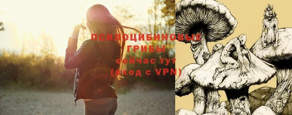 apvp Богородск