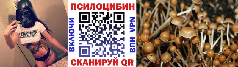 Псилоцибиновые грибы GOLDEN TEACHER  даркнет сайт  Дивногорск 